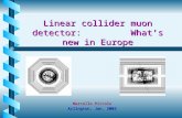 Linear collider muon detector:         What’s new in Europe