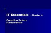 IT Essentials  - Chapter 4