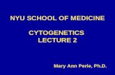 NYU SCHOOL OF MEDICINE CYTOGENETICS  LECTURE 2