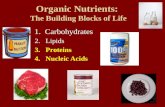 Organic Nutrients:  The Building Blocks of Life