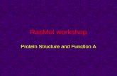 RasMol workshop
