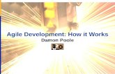 Agile Development: How it Works Damon Poole