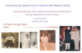 Exploring the Quark Gluon Plasma with Bikash Sinha