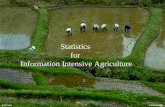 Statistics  for  Information Intensive Agriculture