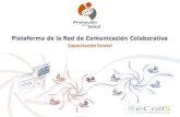 Plataforma de la Red de Comunicación Colaborativa