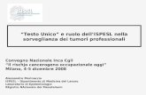 “Testo Unico” e ruolo dell’ISPESL nella sorveglianza dei tumori professionali