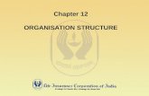 Chapter 12 ORGANISATION STRUCTURE