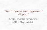 The modern management of gout