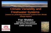 Fran Sheldon Australian Rivers Institute Griffith School of Environment  Griffith University