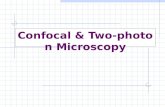 Confocal & Two-photon Microscopy