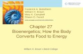Chapter 27  Bioenergetics; How the Body Converts Food to Energy