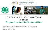 CA State 4-H Futures Task Force: Organization Subcommittee
