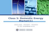 에너지환경경제학 Class 5: Domestic Energy Market(1)