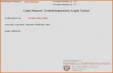 Case Report: Cerebellopontine Angle Tumor