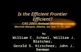 by William C. Scheel, William J. Blatcher,  Gerald S. Kirschner, John J. Denman