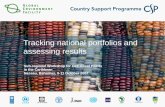 Tracking national portfolios and assessing results