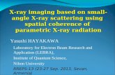 X-ray imaging based on small-angle X-ray scattering using