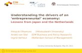 Understanding the drivers of an ‘entrepreneurial’ economy:  Lessons from Japan and the Netherlands