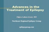 Advances in the Treatment of Epilepsy
