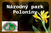 Národný park Poloniny