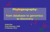 Phylogeography: from database to genomics  to discovery