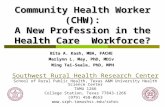 Community Health Worker (CHW): A New Profession in the Health Care  Workforce?