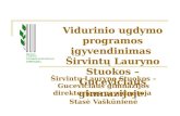 Vidurinio ugdymo programos įgyvendinimas  Širvintų Lauryno Stuokos – Gucevičiaus gimnazijoje