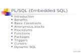 PL/SQL (Embedded SQL)
