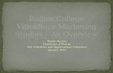 Rollins College Viticulture Marketing Studies – An Overview