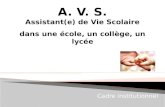 A. V. S. Assistant(e) de Vie Scolaire dans une école, un collège, un lycée