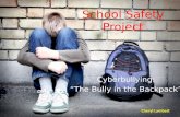 School Safety Project