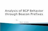 Analysis of BGP Behavior through Beacon Prefixes