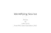 Identifying Sea Ice