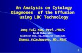 An Analysis on Cytology Diagnoses  of the Effusion  using LBC Technology