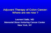 Adjuvant Therapy of Colon Cancer: Where are we now ?