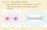 20.1  Magnetic Fields All magnets have two poles: N and S