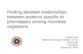 Finding detailed relationships between proteins specific to phenotypes among microbial organisms