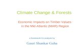 Climate Change & Forests