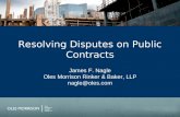 Resolving Disputes on Public Contracts
