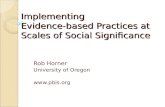 Implementing  Evidence-based Practices at  Scales of Social Significance