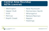 Central Area  Roundup NZTA  (central)