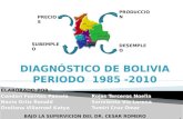 DIAGNÓSTICO DE BOLIVIA PERIODO  1985 -2010