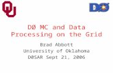 D Ø  MC and Data Processing on the Grid