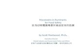 Mycotoxins in Ruminants  for Food Safety 反刍动物霉菌毒素对 食品 安全的危害 by Scott Fleetwood, Ph.D .