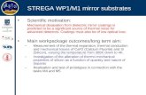 STREGA WP1/M1 mirror substrates