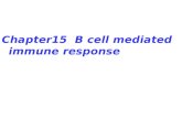 Chapter15  B cell mediated immune response