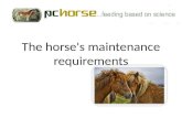 The  horse's maintenance requirements