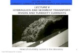 LECTURE 6 HYDRAULICS AND SEDIMENT TRANSPORT: RIVERS AND TURBIDITY CURRENTS