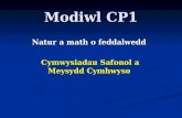 Modiwl CP1