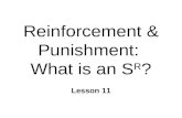 Reinforcement & Punishment:  What is an S R ?